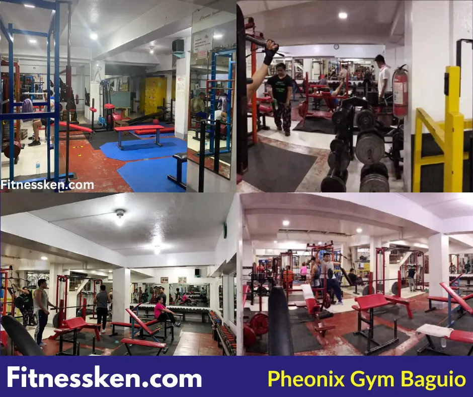 Phoenix Physical Fitness Gym, Baguio Gym Rate, Schedule, Location
